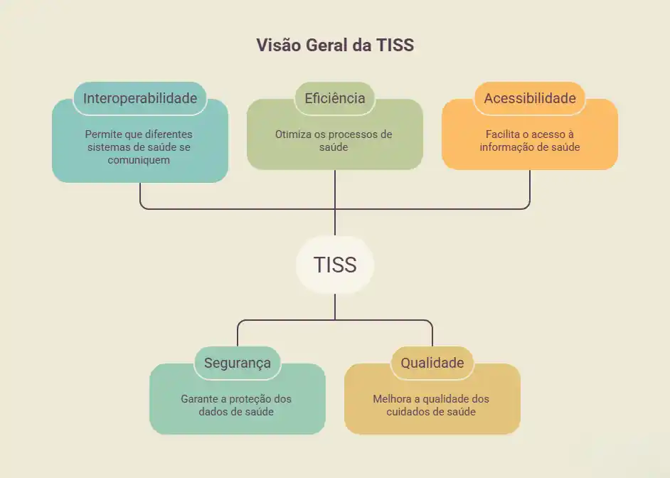 Entenda o fluxo TISS